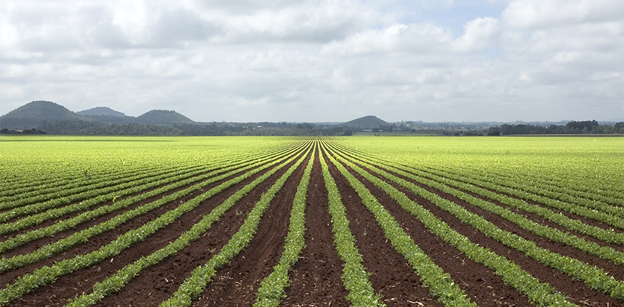 TOWARD GREATER SUSTAINABILITY